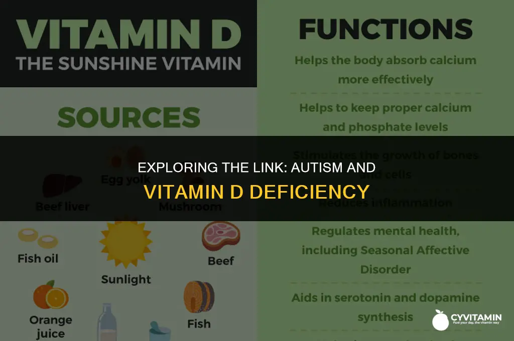 is autism associated with vitamin d deficiency