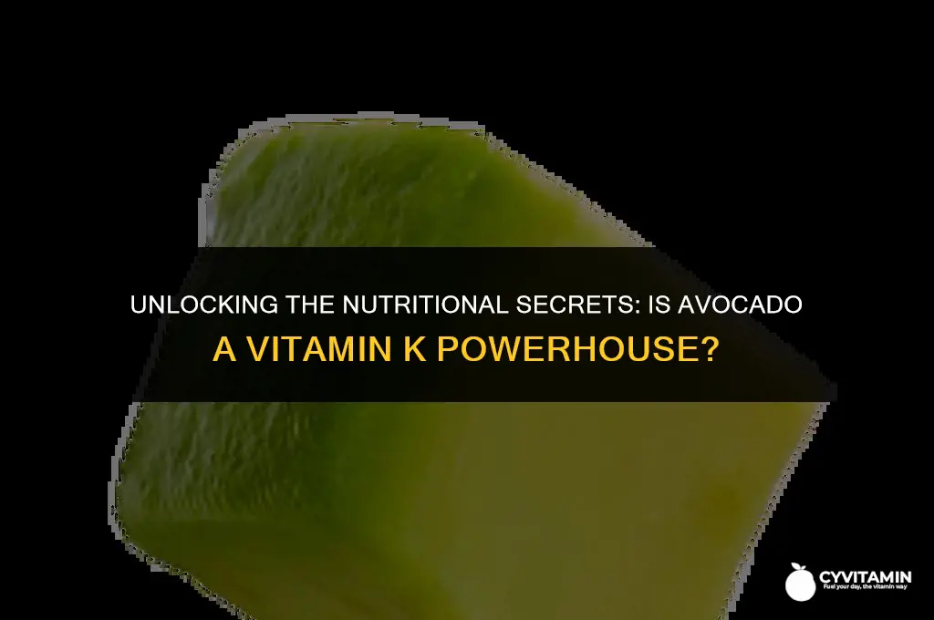 is avocado high in vitamin k