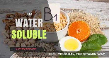 Exploring the Solubility of Vitamin B1 in Water: Facts and Myths