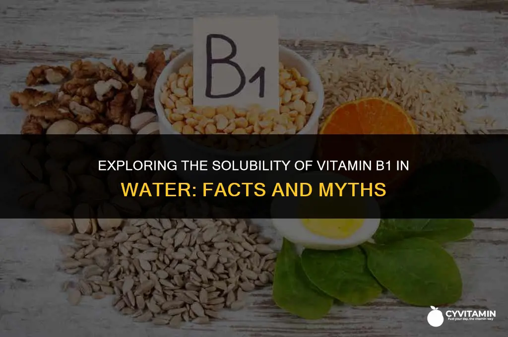 is b1 water soluble