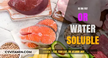 Unlocking the Mystery: Is Vitamin B6 Fat or Water Soluble?