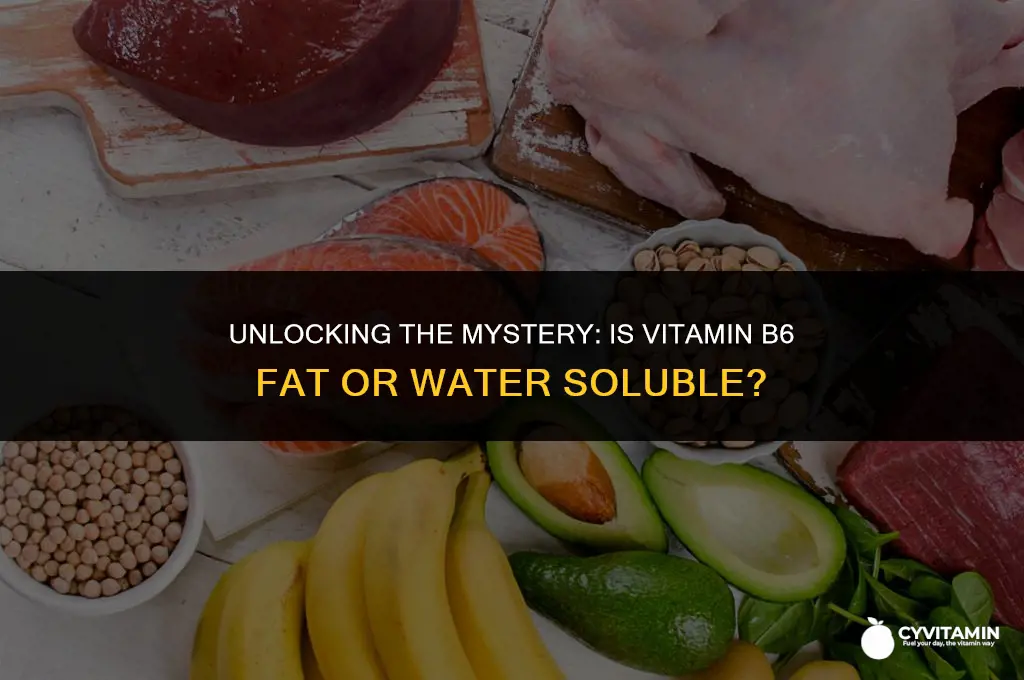 is b6 fat or water soluble