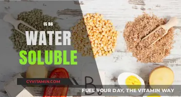 Exploring the Solubility of Vitamin B6 in Water: Facts and Myths