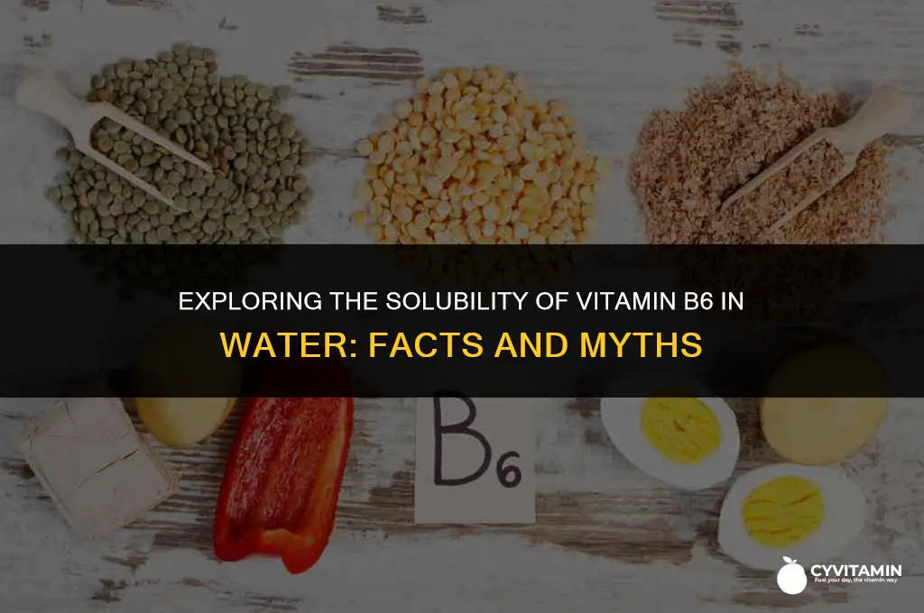 is b6 water soluble