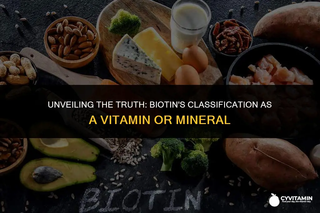 is biotin a vitamin or mineral