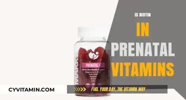 The Essential Role of Biotin in Prenatal Vitamins: A Comprehensive Guide