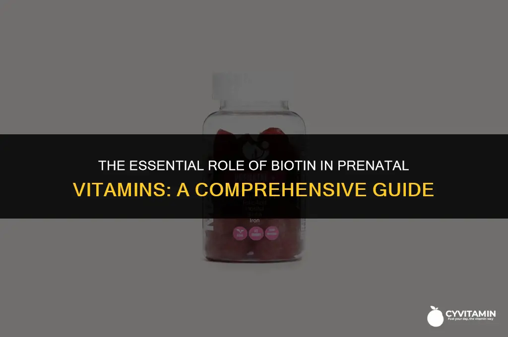 is biotin in prenatal vitamins