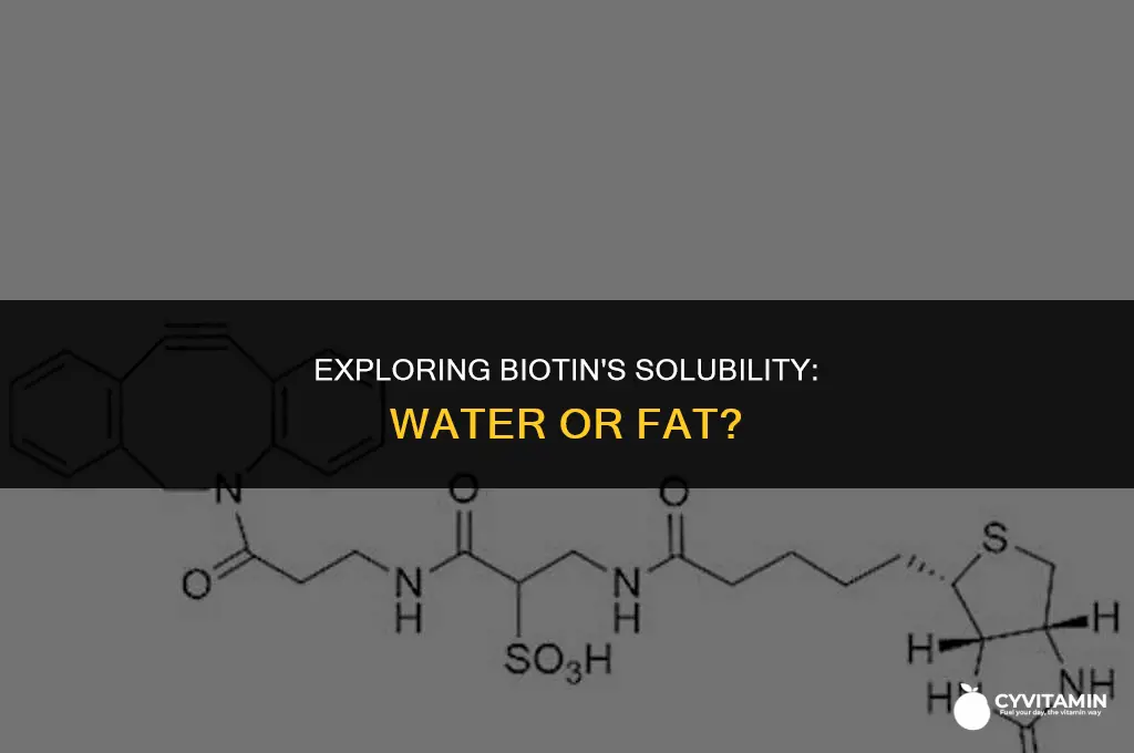 is biotin water or fat soluble