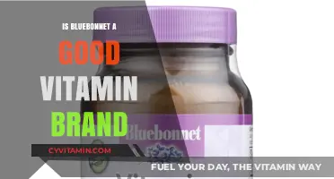 Exploring Bluebonnet: A Comprehensive Review of the Vitamin Brand