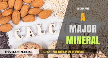 Unlocking the Power of Calcium: A Key Mineral for Optimal Health