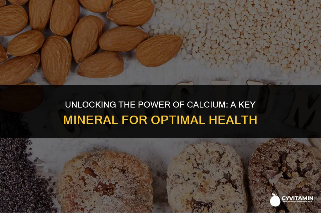 is calcium a major mineral