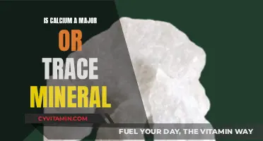 Calcium: A Major Mineral or Just a Trace?
