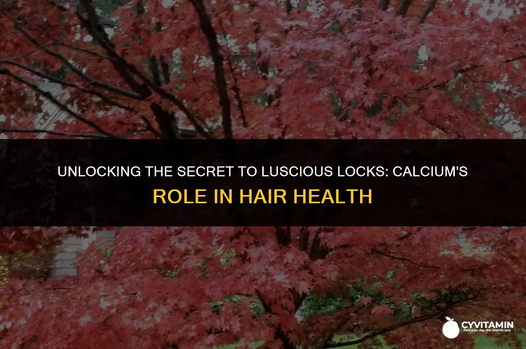 is calcium good for hair