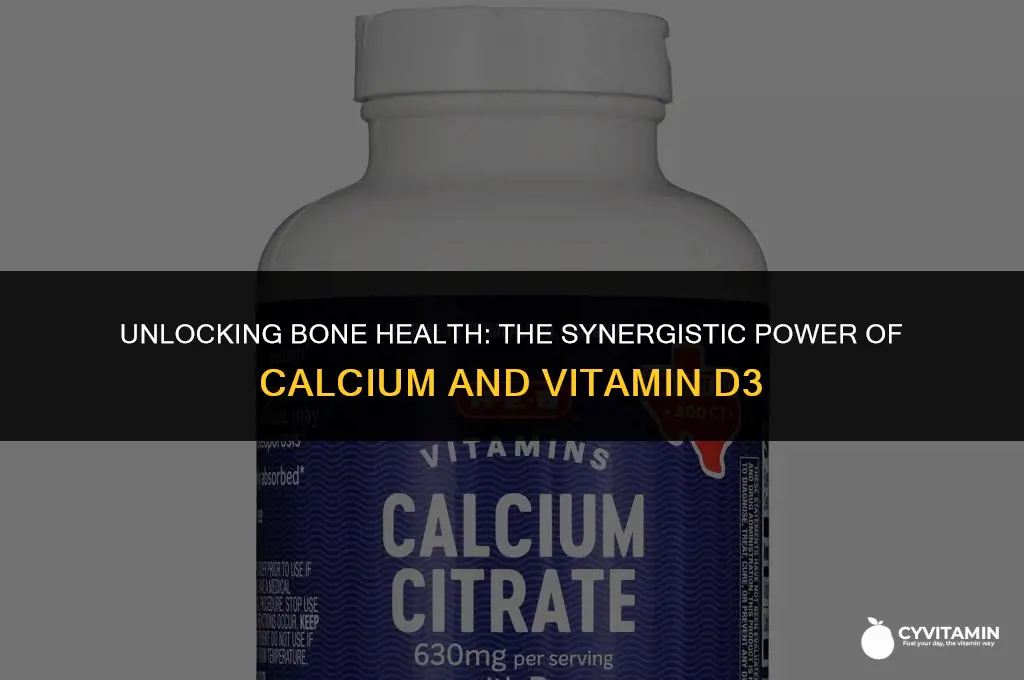 is calcium vitamin d3