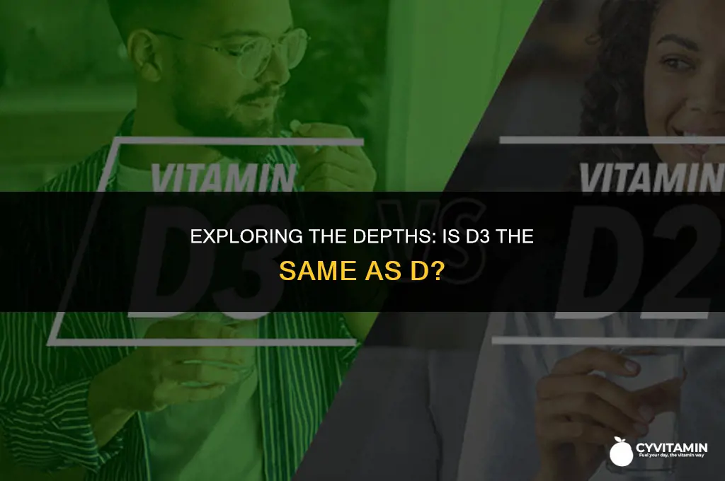 is d3 the same as d