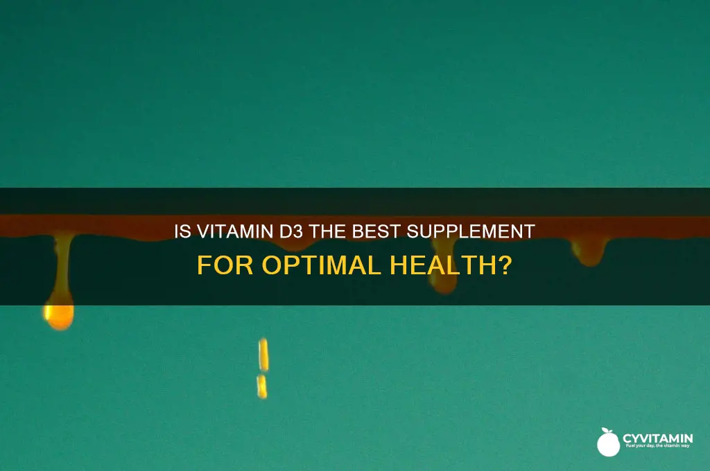 is d3 vitamin best