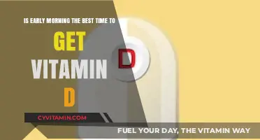 Early Morning Sunlight: Optimal Time for Vitamin D Absorption?