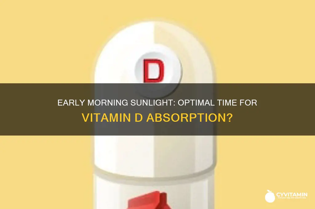 is early morning the best time to get vitamin d