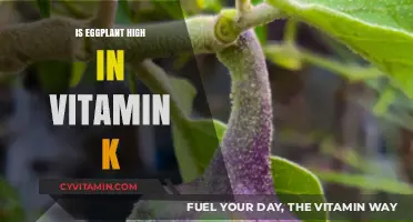 Eggplant's Nutritional Spotlight: Unveiling Its Vitamin K Content