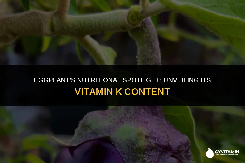is eggplant high in vitamin k