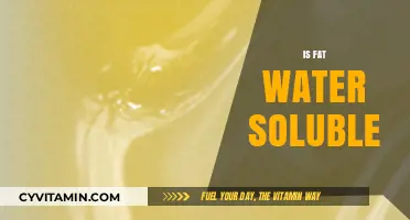 Exploring the Solubility of Fat in Water: A Comprehensive Guide