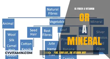 Unraveling the Mystery: Is Fiber a Vitamin or a Mineral?