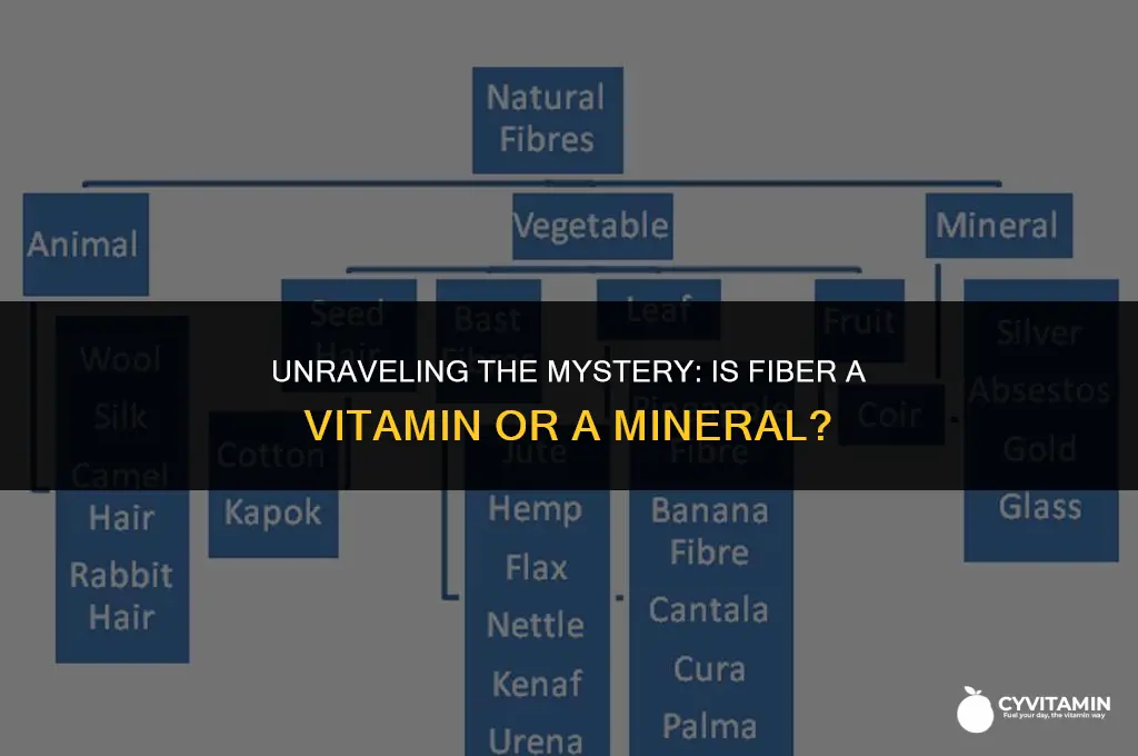 is fiber a vitamin or a mineral