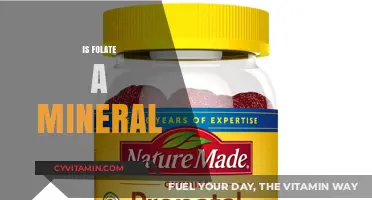Unveiling the Truth: Is Folate a Mineral or a Vitamin?
