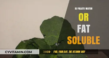 Exploring the Solubility of Folate: Water or Fat?