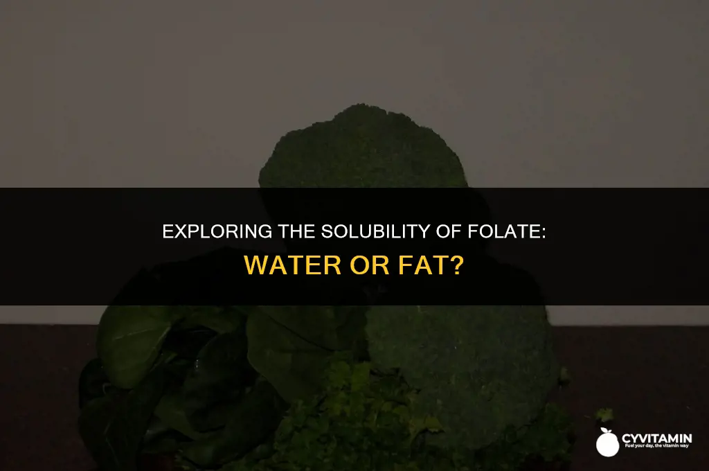 is folate water or fat soluble