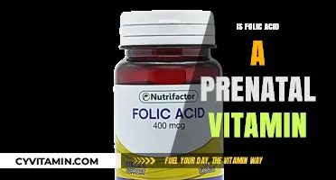 Nourishing Beginnings: The Essential Role of Folic Acid in Prenatal Care