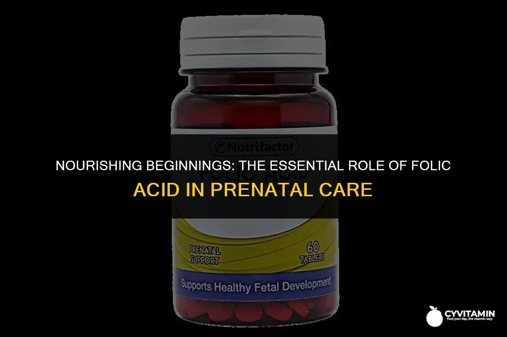 is folic acid a prenatal vitamin