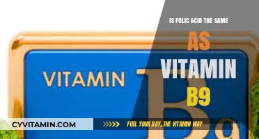 Unraveling the Mystery: Folic Acid vs. Vitamin B9 Explained