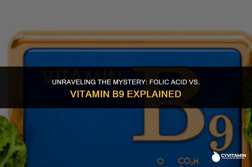 is folic acid the same as vitamin b9