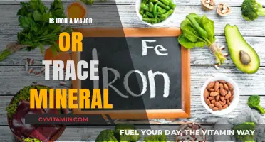 Unveiling Iron's Role: Major or Trace Mineral in Human Health?