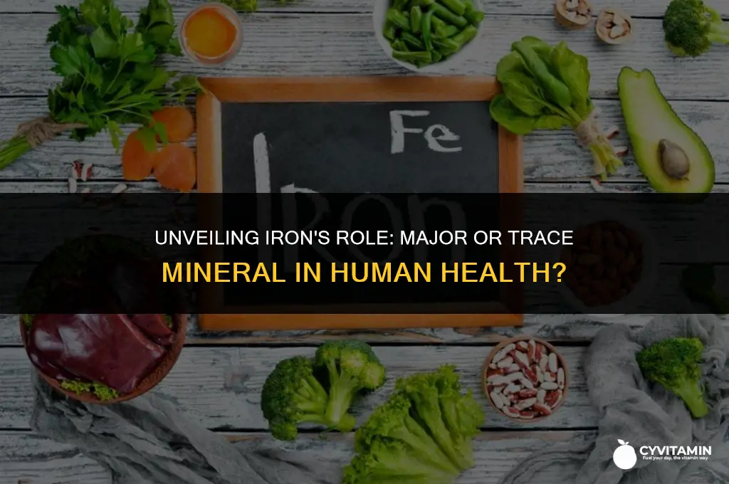 is iron a major or trace mineral