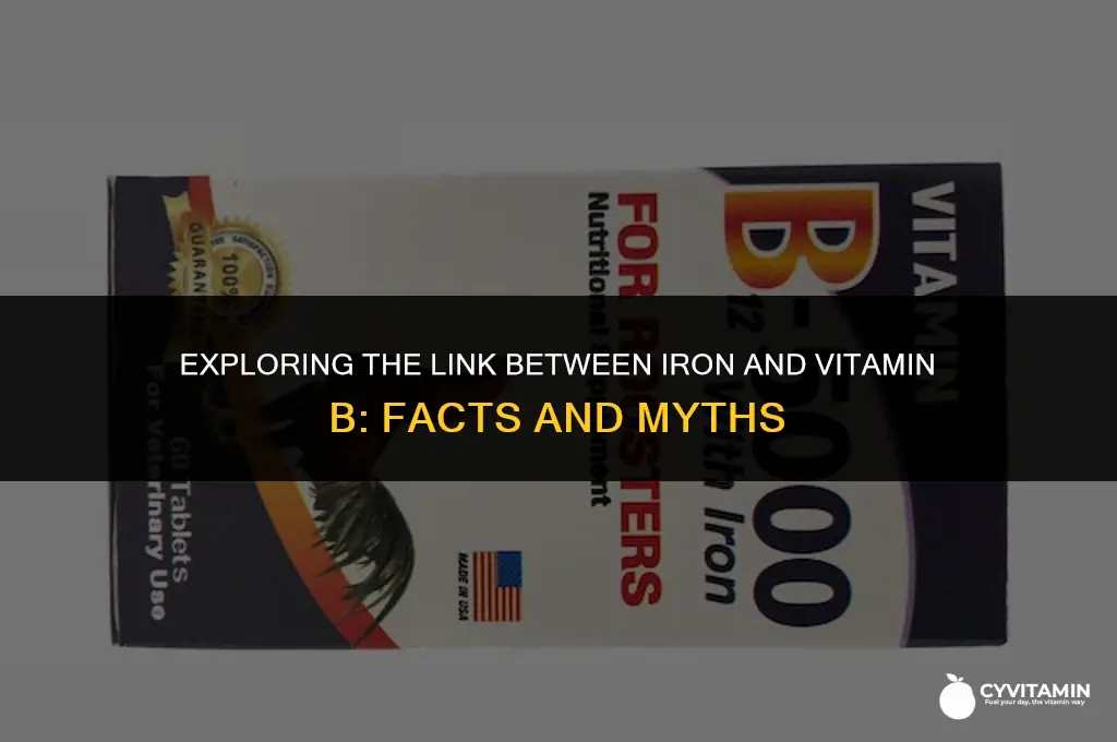 is iron a vitamin b