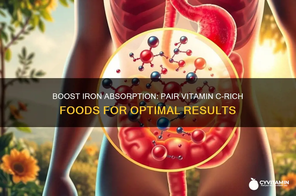 is iron best absorbed when eaten with vitamin c-rich foods