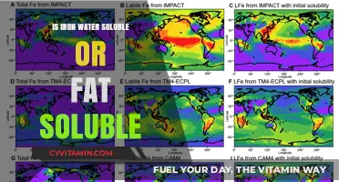 Exploring Iron Solubility: Water vs. Fat in Nutrition