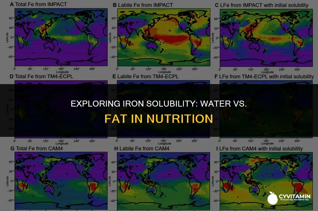 is iron water soluble or fat soluble