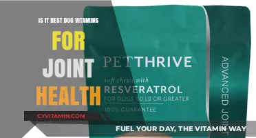 Best Dog Vitamins for Joint Health: Top Picks and Benefits