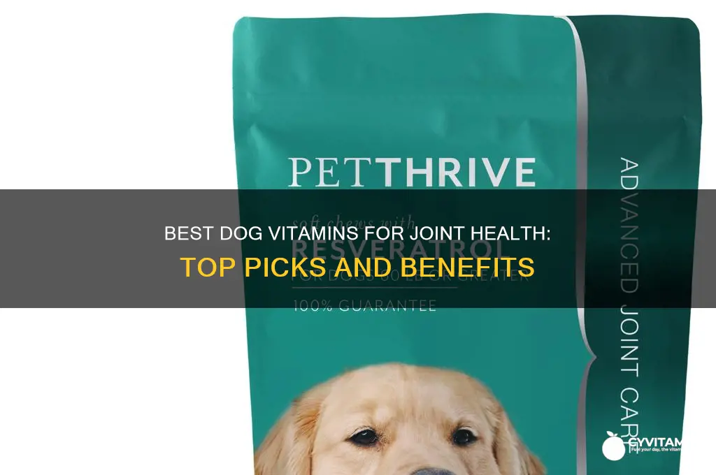 is it best dog vitamins for joint health