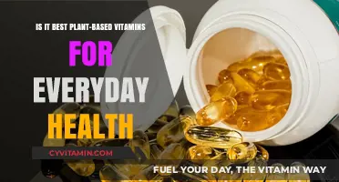 Plant-Based Vitamins: Your Daily Health Boost Explained