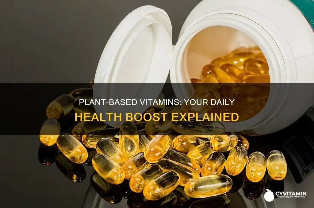 is it best plant-based vitamins for everyday health
