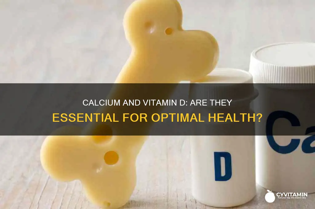 is it best to take calicumand vitamin d