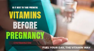 Should You Take Prenatal Vitamins Before Getting Pregnant?