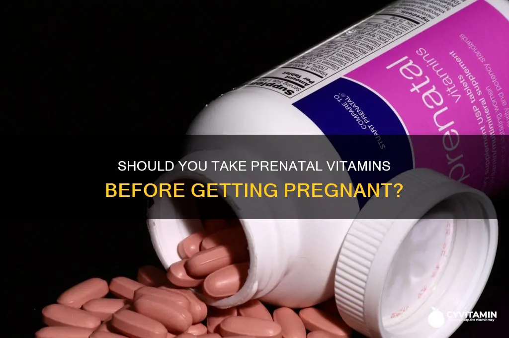 is it best to take prenatal vitamins before pregnancy