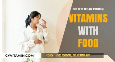 Should You Take Prenatal Vitamins with Food? Expert Tips and Advice