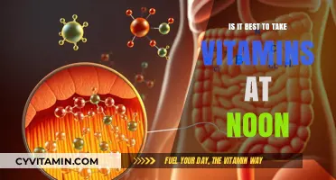 Noon Vitamin Timing: Optimal Absorption or Just a Myth?