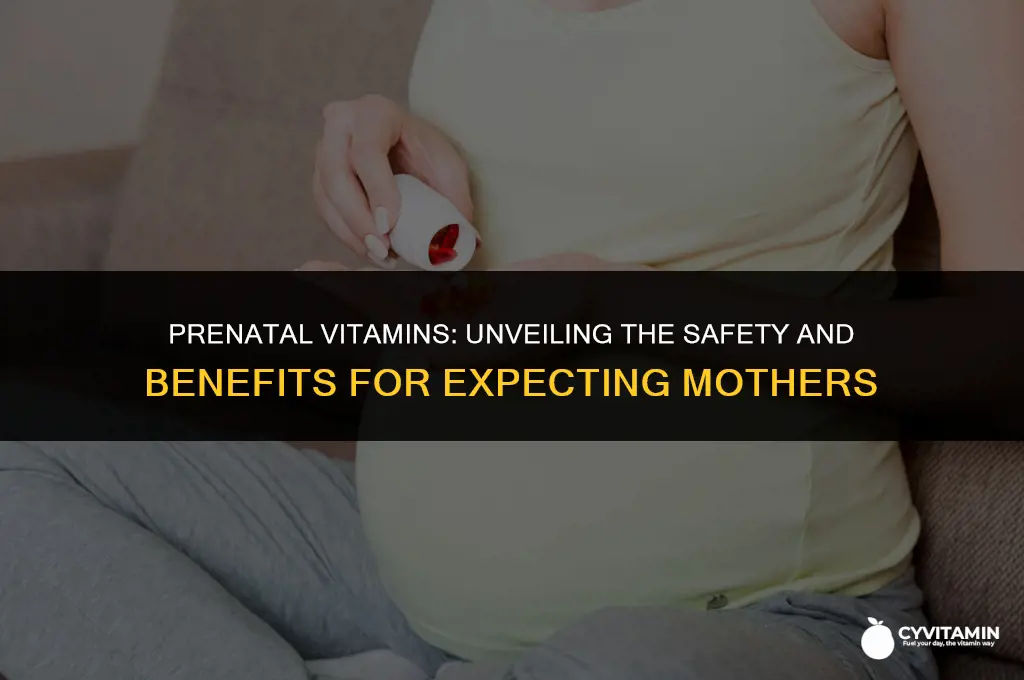 is it safe to take prenatal vitamins